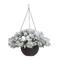 Glitzhome® 24" Pre-Lit Snow Flocked Christmas Artificial Pine Poinsettia Hanging Basket, White Lights